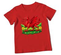 Saint Davids Day Shirt Welsh Dragon Printed Tees for Kids St Davids Day Outfit for Children, 3-4 Years, Red