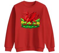 Saint Davids Day Sweatshirt Welsh Dragon Printed Jumper for Kids St Davids Day Sweater Outfit, 3-4 Years, Red
