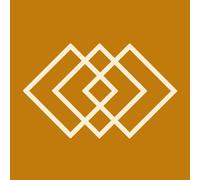 Saint Etienne - International