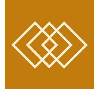 Saint Etienne - International