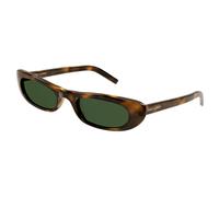 SAINT LAURENT SL 557 SHADE 002 Woman Sunglasses Acetate Havana Green Round Normal
