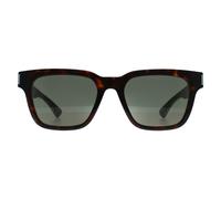 Saint Laurent SL 790 Womens Havana Sunglasses