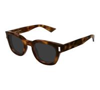 SAINT LAURENT SL 838 006 Unisex Sunglasses Acetate Havana Grey Round