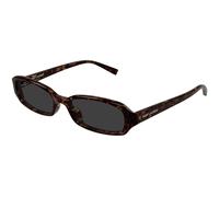 SAINT LAURENT SL 872 ERIN 003 Unisex Sunglasses Acetate Havana Grey Round