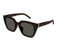 SAINT LAURENT SL M143 002 Woman Sunglasses Acetate Havana Grey Cat Eye