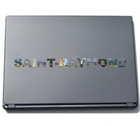 Saint-Raymond Laptop Sticker Laptop Skin 290 mm with sights