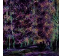 Saint-Sans: Piano Trios Nos. 1 & 2