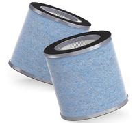 SAKEGDY EPI235A True HEPA Filter Compatible with MEGAWISE EPI235A Air Cleaner Purifer (Only Fit Old Version before 21st Nov 2022), Pack of 2