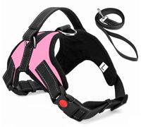 Sakruda No Pull Dog Harness Vest with Handle and 1 PC Dog Leash,Breathable,Comfortable Pet Vest with Adjustable Soft Padded,Best for Large Animals Dog Cat Outdoor training Walking (L Pink)