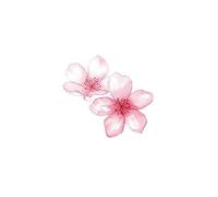 Sakura Love Beautiful Girl Temporary Tattoo Sticker Waterproof Long-Lasting And Sweatproof Small Fresh Peach Blossom Temporary Tattoo Sticker Tattoo Sticker Fake Tattoo