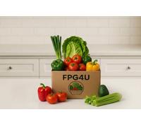 Salad Box 6 | Red Onions | Tommatoes | Red Bell Peppers | Green Bell Peppers | Avocado | Lettuce | Spring Onion