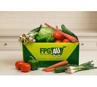 Salad Box Medium || FPG4U || || £14.99