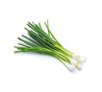 Salad Onion Plants, 'Starlight', 10 x Plug Plant Pack, Vegetable Plants, Spring Onions, Grow Your Own, Garden Veg, Garden Ready and Ready to Plant, Premium Quality Vegetables