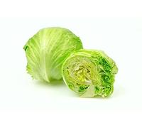 Salad Plants, Lettuce 'Iceberg', 9 x Plug Plant Pack, Lettuce Plants, Icerberg Lettuce, Garden Ready and Ready to Plant, Indoor or Outdoor, Premium Quality Lettuces