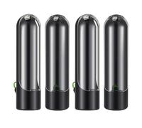 Salad Storage for the Refrigerator - 6.5 x 8.5 x 25.5 cm, Fresh Coriander, Multifunctional Container, Pack of 4 Transparent Holders, Preservation Container for the Fridge