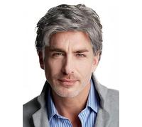 Salaibs Grey Short Wigs for Men Natural Layered Synthetic Hair Wig Realistic Heat Resistant Male Daily Cap Wig