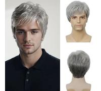 Salaibs Grey Short Wigs for Men Synthetic Layered Natural realistic Male Hair wig for Daily Party (Grey)