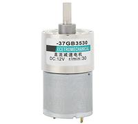 SALALIS DC Gear Motor Low Speed Micro Permanent Magnet for Robotics, Compact Bracket Governor Gear, 12V, 1 Unit (30rpm/min)
