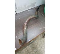 Sale For Yemenite shofar kudu horn Chofar 49." (125CM) Half Natural VERY RARE!!