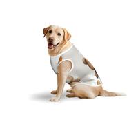 Salelf Anime Bear for Dog Costume, All Season Soft Pure Cotton Pet Harness, Outerwear for Medium to Large Dogs, Outdoor Walking