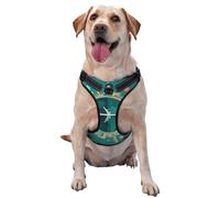 Salelf Around The Planet No Pull Dog Harness Reflective Adjustable Pet VES No Choke Front Clip Pet Harness with 2 Leash Clips + 1 Pet Leash for Large Dog Walking