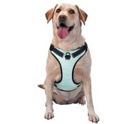 Salelf Blue Bright No Pull Dog Harness Reflective Adjustable Pet VES No Choke Front Clip Pet Harness with 2 Leash Clips + 1 Pet Leash for Large Dog Walking