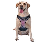 Salelf Boat Lighthouse Storm Waves No Pull Dog Harness Reflective Adjustable Pet VES No Choke Front Clip Pet Harness with 2 Leash Clips + 1 Pet Leash for Large Dog Walking