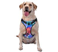 Salelf Bright Flowers No Pull Dog Harness Reflective Adjustable Pet VES No Choke Front Clip Pet Harness with 2 Leash Clips + 1 Pet Leash for Large Dog Walking