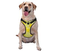 Salelf Bright Lemons No Pull Dog Harness Reflective Adjustable Pet VES No Choke Front Clip Pet Harness with 2 Leash Clips + 1 Pet Leash for Large Dog Walking