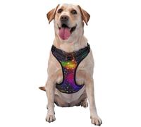 Salelf Bright Universe No Pull Dog Harness Reflective Adjustable Pet Ves No Choke Front Clip Pet Harness with 2 Leash Clips + 1 Pet Leash for Large Dog Walking