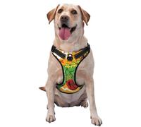 Salelf Cool Dinosaur Playing Guitar No Pull Dog Harness Reflective Adjustable Pet VES No Choke Front Clip Pet Harness with 2 Leash Clips + 1 Pet Leash for Large Dog Walking