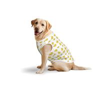 Salelf Cute Easter Chickens for Dog Costume, All Season Soft Pure Cotton Pet Harness, Outerwear for Medium to Large Dogs, Outdoor Walking