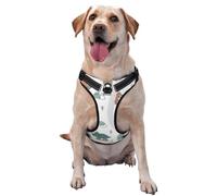 Salelf Dino on a Skateboard Surf No Pull Dog Harness Reflective Adjustable Pet Ves No Choke Front Clip Pet Harness with 2 Leash Clips + 1 Pet Leash for Large Dog Walking