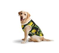 Salelf Dog Costume Lemon Fruit Flowers Leaves All Season Soft Pure Cotton Outerwear for Medium Large Dogs Walking Outdoors