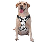 Salelf eat Well Travel Often No Pull Dog Harness Reflective Adjustable Pet VES No Choke Front Clip Pet Harness with 2 Leash Clips + 1 Pet Leash for Large Dog Walking