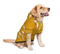 Salelf English Cocker Spaniel Doing Yoga for