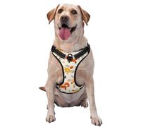 Salelf Flower Fox No Pull Dog Harness Reflective Adjustable Pet VES No Choke Front Clip Pet Harness with 2 Leash Clips + 1 Pet Leash for Large Dog Walking