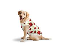 Salelf Fruit Apples for Dog Costume, All Season Soft Pure Cotton Pet Harness, Outerwear for Medium to Large Dogs, Outdoor Walking
