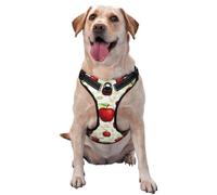 Salelf Fruit Apples No Pull Dog Harness Reflective Adjustable Pet VES No Choke Front Clip Pet Harness with 2 Leash Clips + 1 Pet Leash for Large Dog Walking