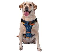 Salelf Funny Steam Train No Pull Dog Harness Reflective Adjustable Pet Ves No Choke Front Clip Pet Harness with 2 Leash Clips + 1 Pet Leash for Large Dog Walking