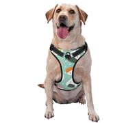 Salelf Kawaii Sushi No Pull Dog Harness Reflective Adjustable Pet VES No Choke Front Clip Pet Harness with 2 Leash Clips + 1 Pet Leash for Large Dog Walking