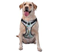 Salelf Let's go Travel Around The World No Pull Dog Harness Reflective Adjustable Pet VES No Choke Front Clip Pet Harness with 2 Leash Clips + 1 Pet Leash for Large Dog Walking