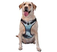Salelf Lighthouse in a Stormy Sea No Pull Dog Harness Reflective Adjustable Pet VES No Choke Front Clip Pet Harness with 2 Leash Clips + 1 Pet Leash for Large Dog Walking