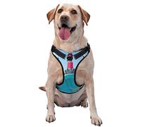 Salelf Lighthouse Sea Port No Pull Dog Harness Reflective Adjustable Pet VES No Choke Front Clip Pet Harness with 2 Leash Clips + 1 Pet Leash for Large Dog Walking