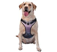 Salelf Lighthouse Waves Torrential Rain No Pull Dog Harness Reflective Adjustable Pet VES No Choke Front Clip Pet Harness with 2 Leash Clips + 1 Pet Leash for Large Dog Walking