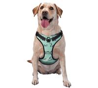 Salelf Not All Those Who Wander are Lost No Pull Dog Harness Reflective Adjustable Pet VES No Choke Front Clip Pet Harness with 2 Leash Clips + 1 Pet Leash for Large Dog Walking