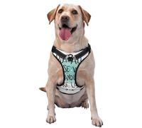 Salelf Not All Who Wander are Lost1 No Pull Dog Harness Reflective Adjustable Pet VES No Choke Front Clip Pet Harness with 2 Leash Clips + 1 Pet Leash for Large Dog Walking