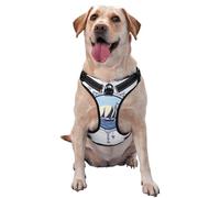 Salelf Not All Who Wander are Lost2 No Pull Dog Harness Reflective Adjustable Pet VES No Choke Front Clip Pet Harness with 2 Leash Clips + 1 Pet Leash for Large Dog Walking