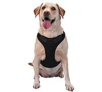 Salelf Officially Retired not My Problem Anymore No Pull Dog Harness Reflective Adjustable Pet VES No Choke Front Clip Pet Harness with 2 Leash Clips + 1 Pet Leash for Large Dog Walking