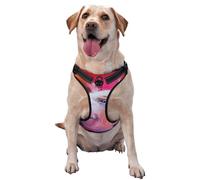 Salelf Pink Pig No Pull Dog Harness Reflective Adjustable Pet VES No Choke Front Clip Pet Harness with 2 Leash Clips + 1 Pet Leash for Large Dog Walking